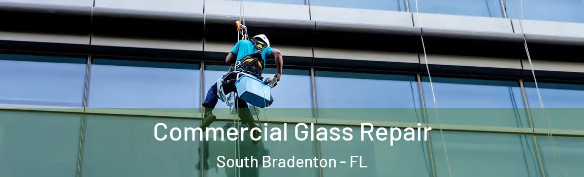  Commercial Glass Repair South Bradenton - FL