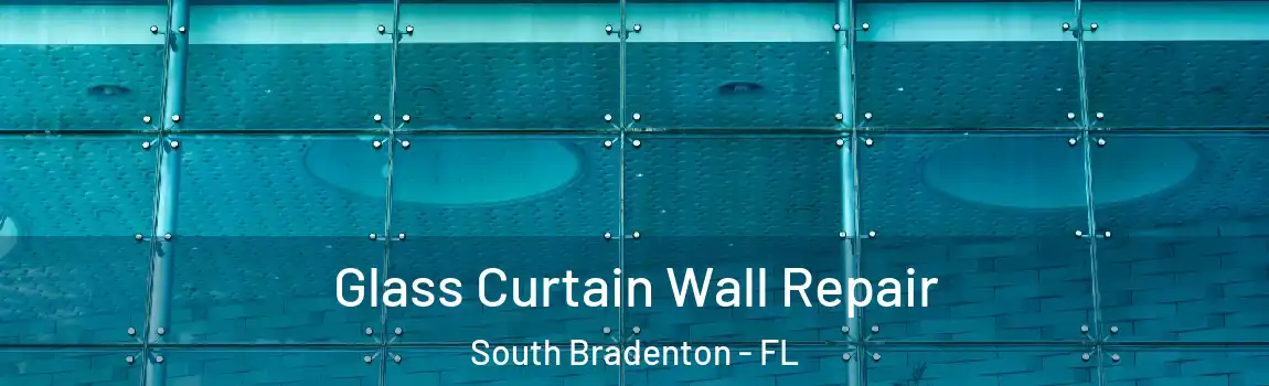  Glass Curtain Wall Repair South Bradenton - FL