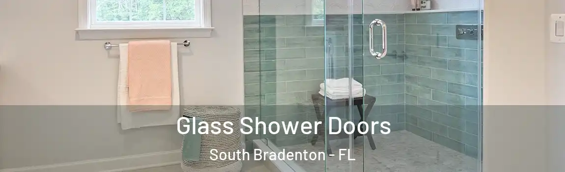  Glass Shower Doors South Bradenton - FL