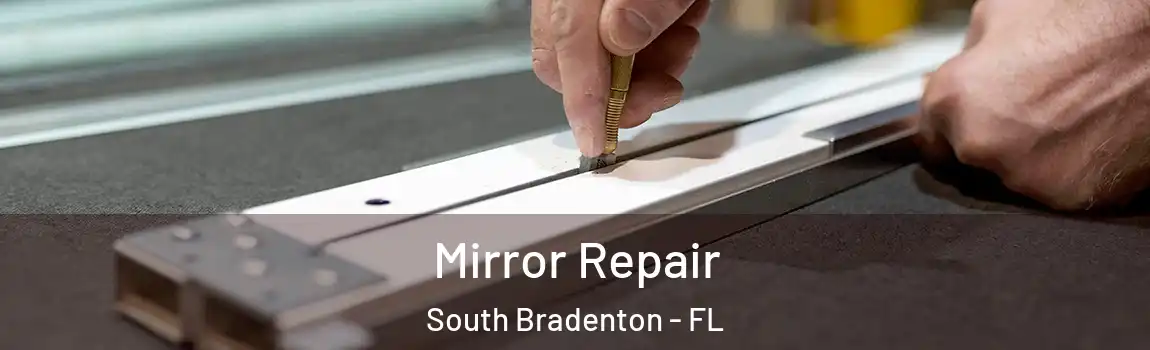 Mirror Repair South Bradenton - FL