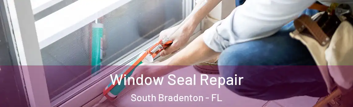  Window Seal Repair South Bradenton - FL
